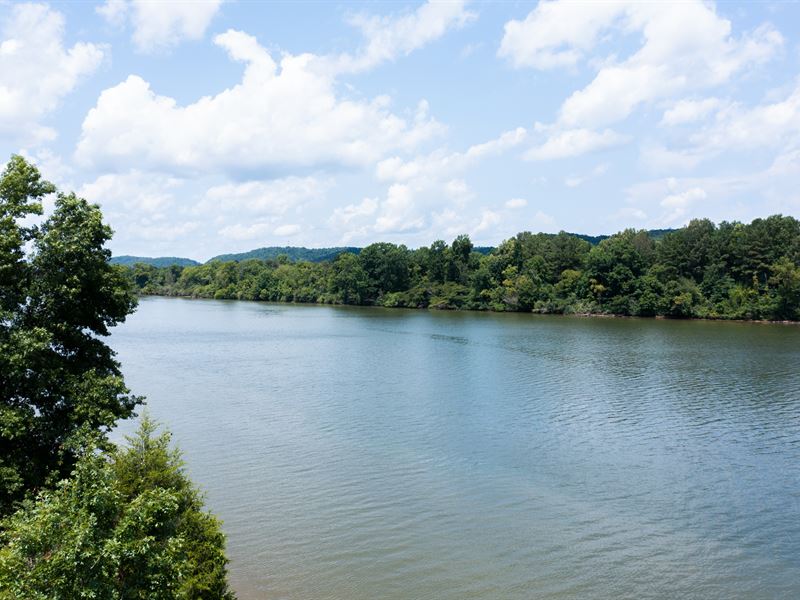 72 Acres on The Cumberland River : Ashland City : Cheatham County : Tennessee
