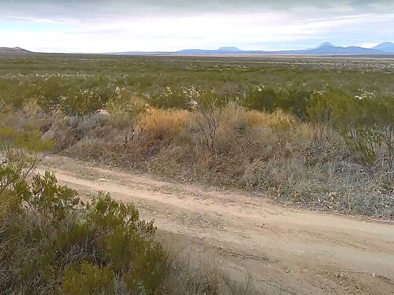 20 Ac Cornudas, Hudspeth County, TX, Ranch for Sale by Owner in Texas