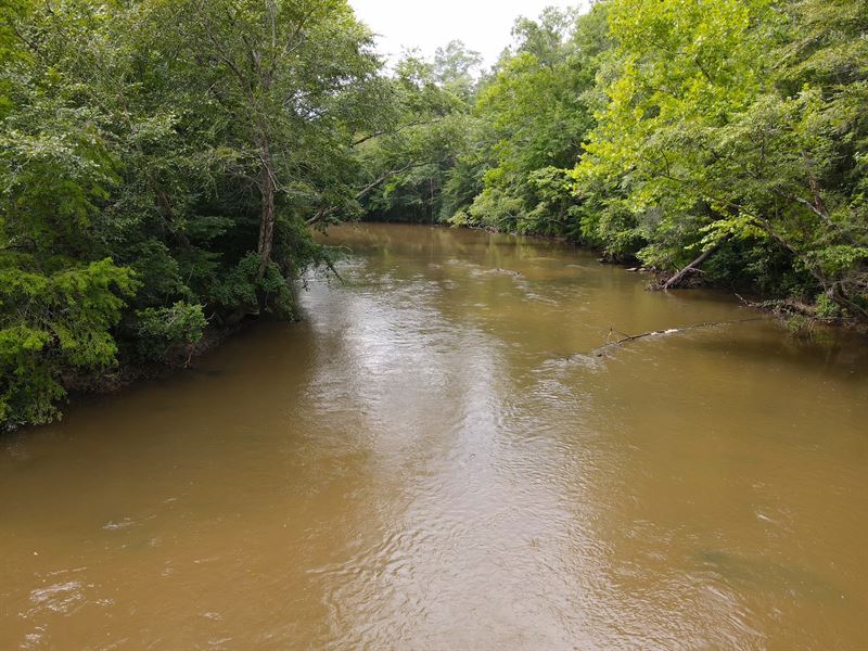 Sepulga River Tract : McKenzie : Conecuh County : Alabama