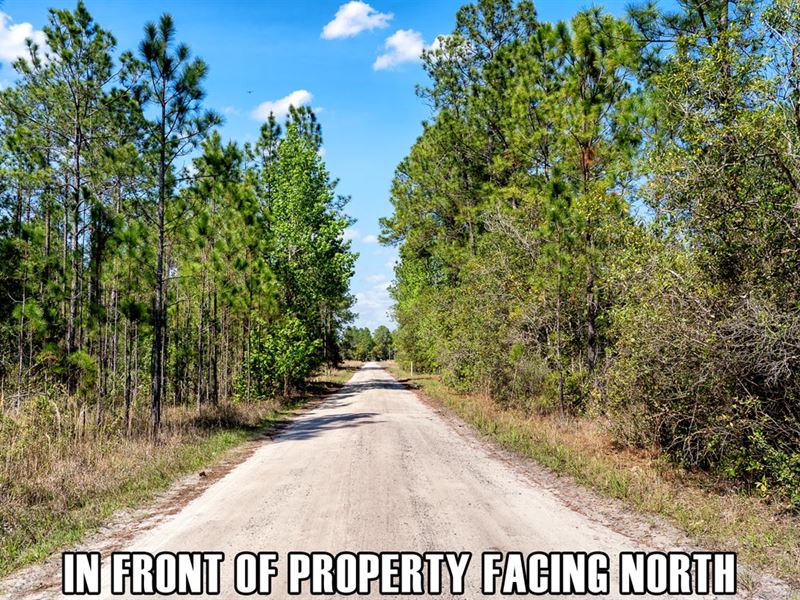 Owner Fin, Near Forrest and Daytona : Deland : Volusia County : Florida