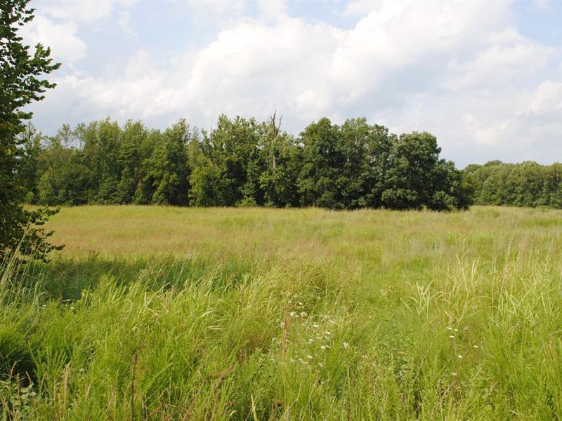 Land for Sale, 117 Acres Jackson : Norman : Jackson County : Indiana
