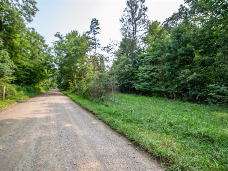 TR 29, 51 Acres, Coshocton County : Warsaw : Coshocton County : Ohio
