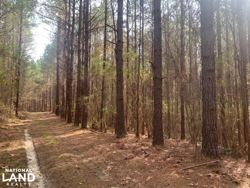 Gilbertown Hunting and Timber Inves : Gilbertown : Choctaw County : Alabama
