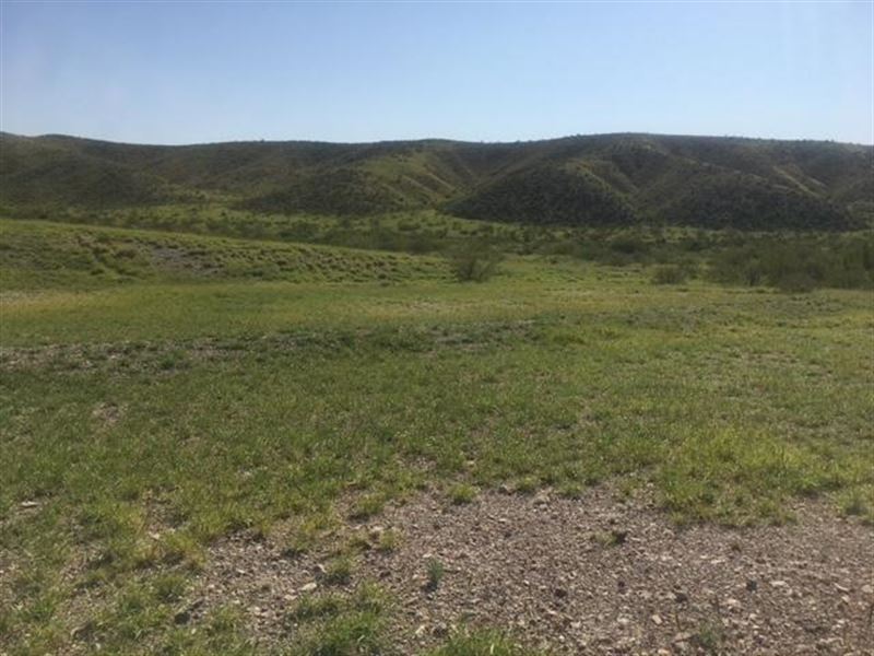 Owner Financed Acreage Near Marfa : Marfa : Presidio County : Texas