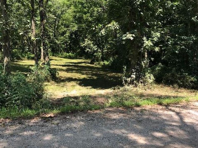 60 Morgan County Acres Only 6 1/2 : Versailles : Morgan County : Missouri