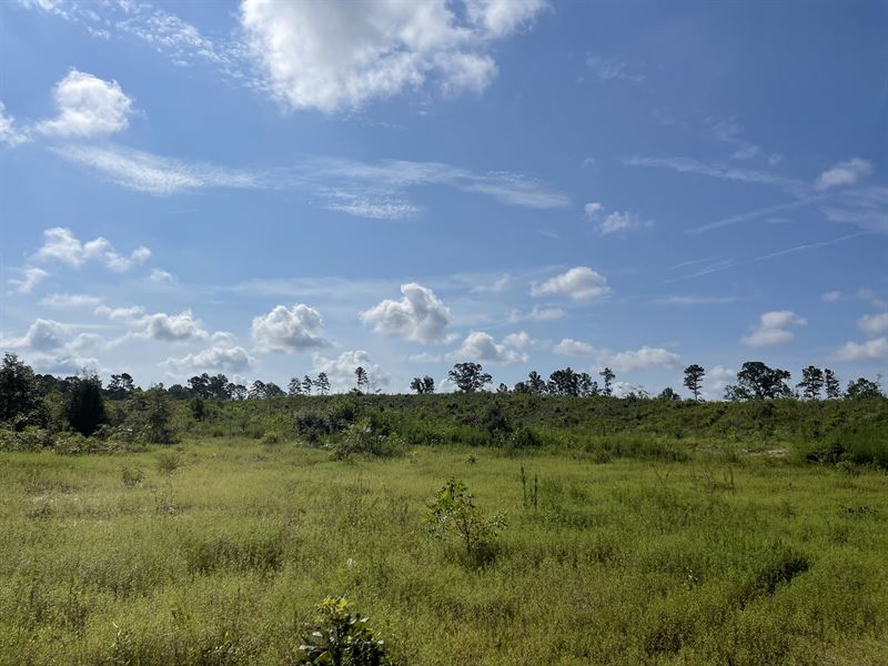 County Road 223 Tract : Shubuta : Clarke County : Mississippi