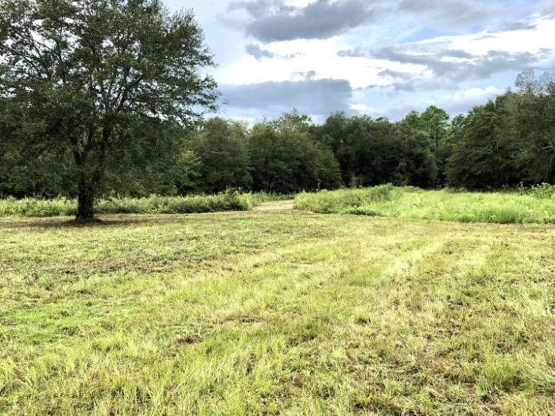 10 Acres, Beautiful Suwannee County : Live Oak : Suwannee County : Florida
