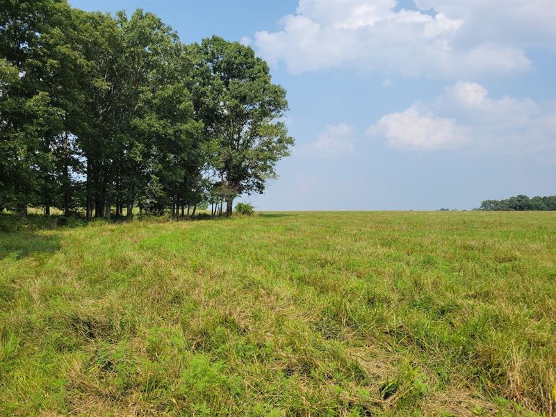 Southern Missouri Land for Sale : Hartville : Wright County : Missouri