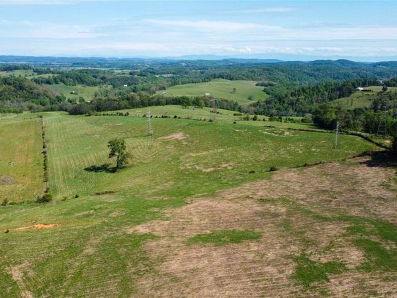 Beautiful 200 Acres of Pastureland : Rutledge : Grainger County : Tennessee