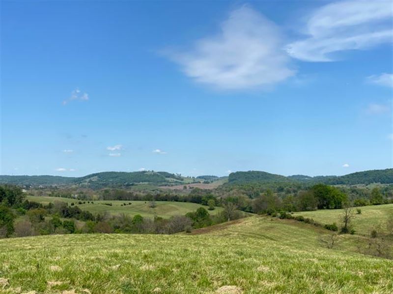 113 Acres of Pastureland : Rutledge : Grainger County : Tennessee