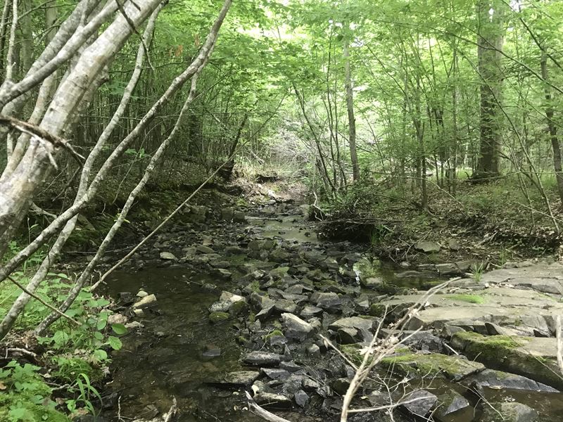 Lunenburg Farm & Timber : Victoria : Lunenburg County : Virginia
