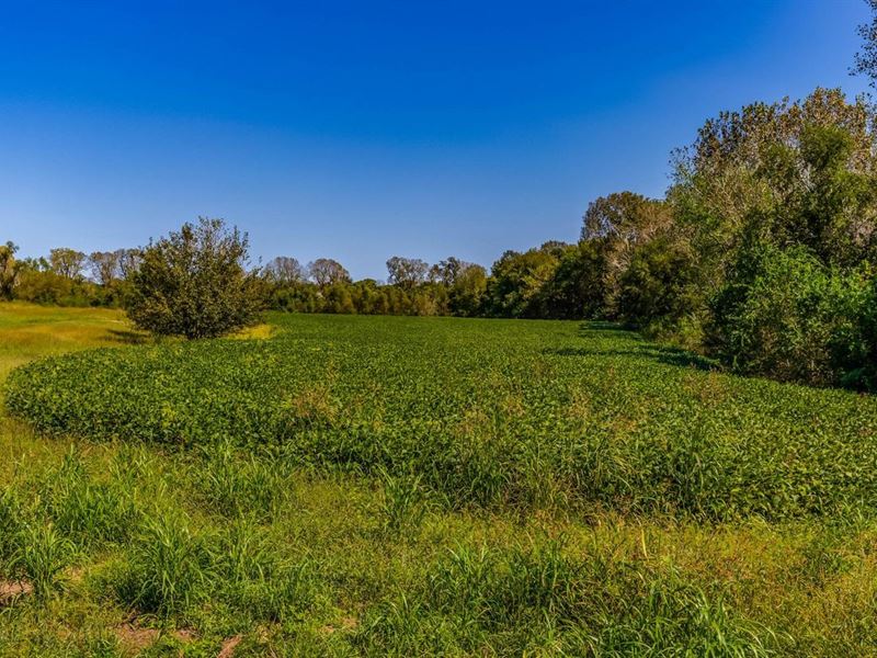 Victory 33 : Spring Hill : Miami County : Kansas