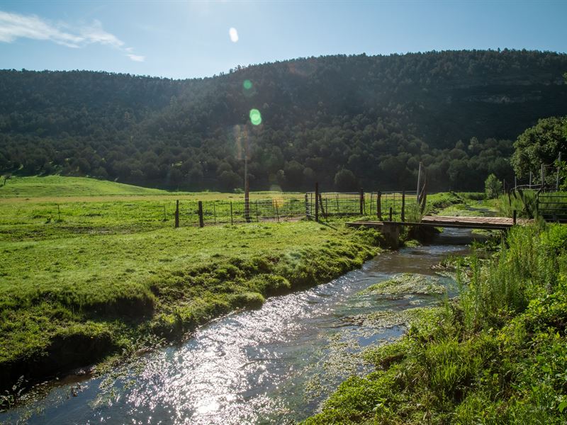 Mayhill Homestead Ranch : Mayhill : Otero County : New Mexico