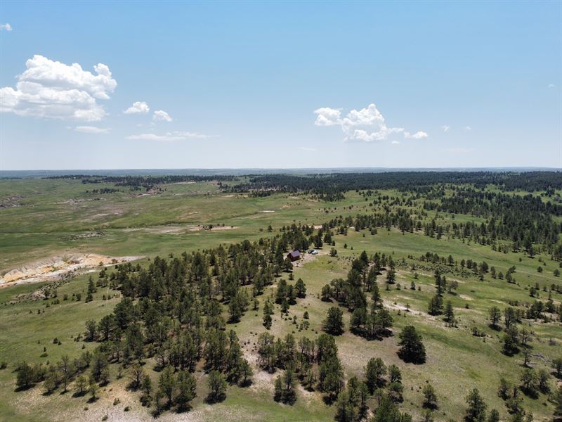 Wolf Station 320 : Calhan : Elbert County : Colorado