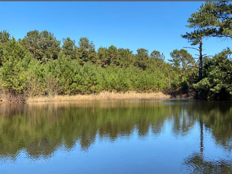35.2 Acres in Lincoln County in Rut : Ruth : Lincoln County : Mississippi