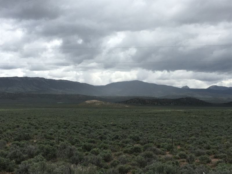 Make Your Soul Happy on 10 Acres : Montello : Elko County : Nevada