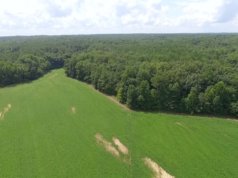 101 +/- Acres, Sandhill Road Tract : Jackson : Madison County : Tennessee