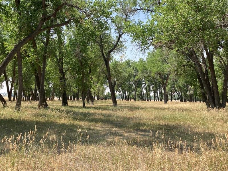 Thornburg Ranch : Bennett : Adams County : Colorado