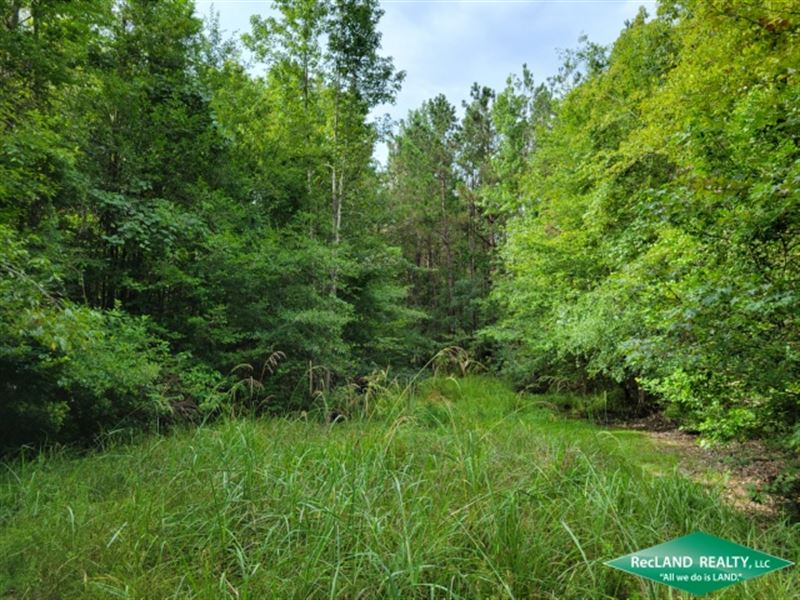 60 Ac, Mixed Timberland & Hunt : Atlanta : Winn Parish : Louisiana