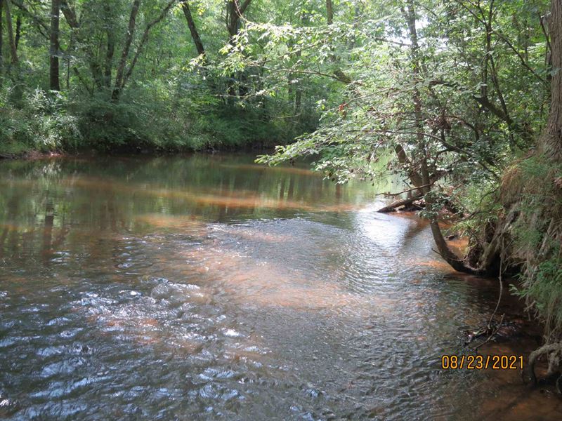 Investment Grade Timber & Hunting : Jumbo : Chilton County : Alabama