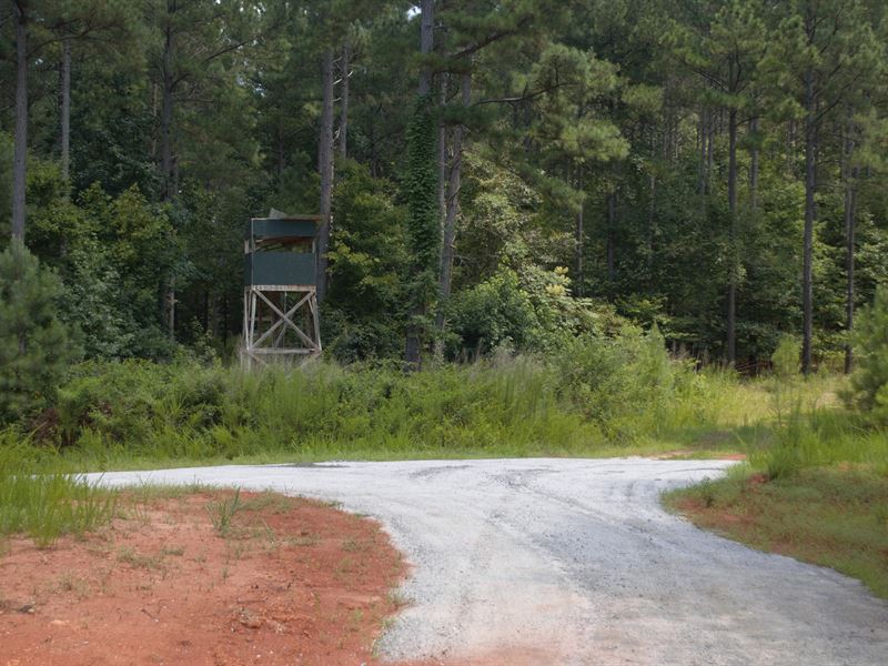 43 Acres Near Whitestone with Creek : Spartanburg : Spartanburg County : South Carolina