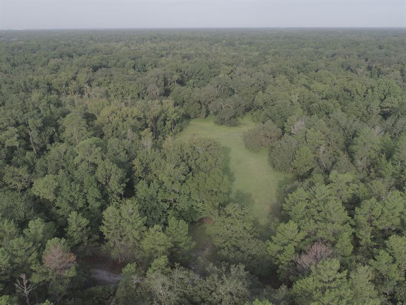 One Of A Kind Acreage Borders State : Chuluota : Seminole County : Florida