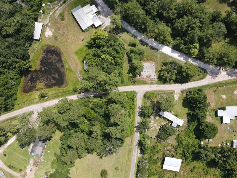 14.3 Acres with Tons of Trees : Saratoga : Hardin County : Texas