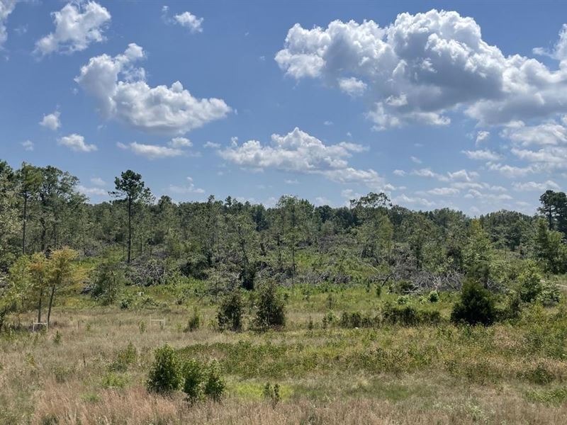 E. Jones Rd. 41 : Velvet Ridge : White County : Arkansas
