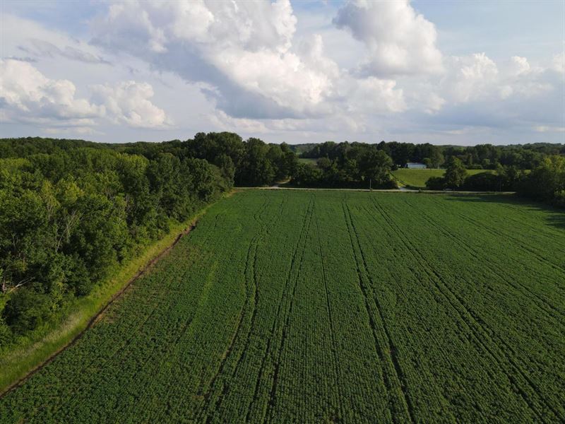 For Sale Gross Road Tillable : Terre Haute : Vigo County : Indiana