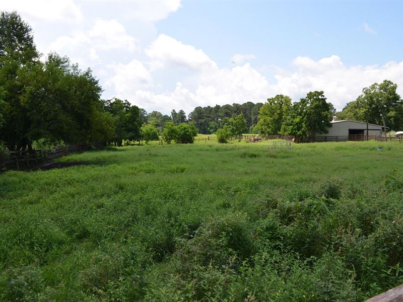 Barn and 17.5 Ac in Hurtsboro : Hurtsboro : Russell County : Alabama
