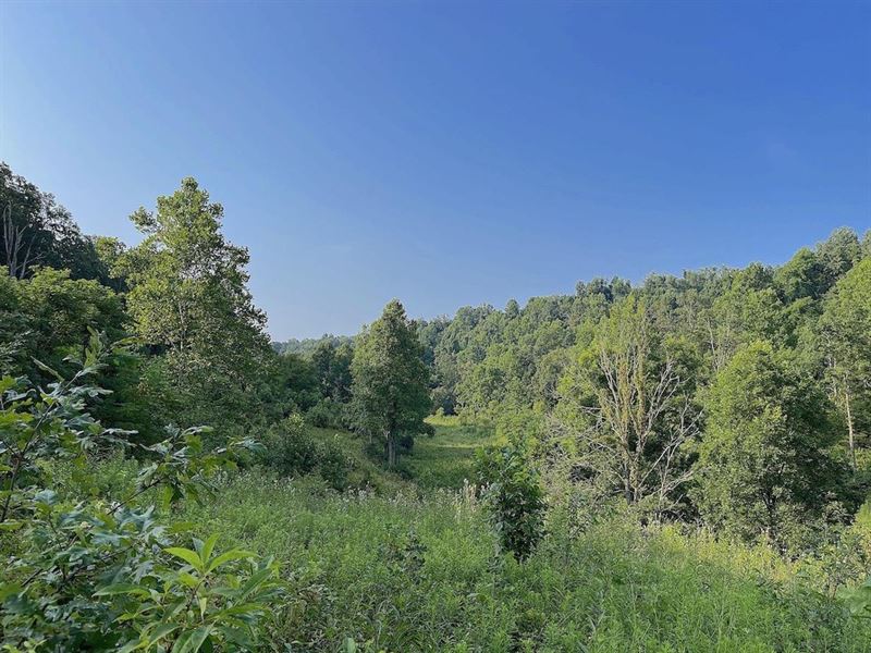 Elliot Rd, 86 Acres, Gallia Count : Patriot : Gallia County : Ohio