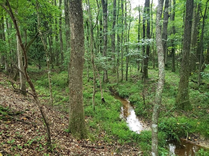Crenshaw 49 : Highland Home : Crenshaw County : Alabama