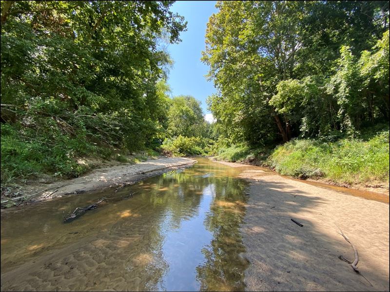 56 Acres in Hinds County in Utica : Utica : Hinds County : Mississippi