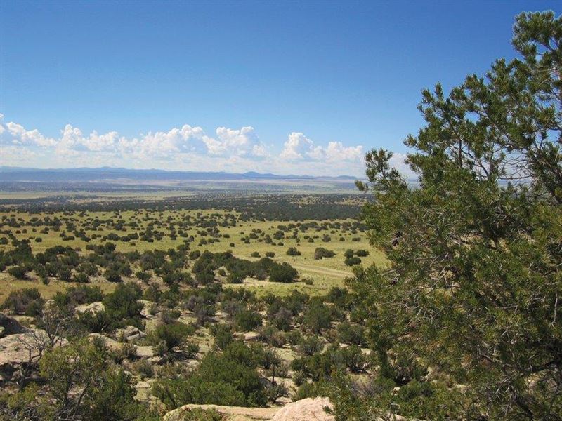 Secluded Mesa Top Ranch : Saint Johns : Apache County : Arizona