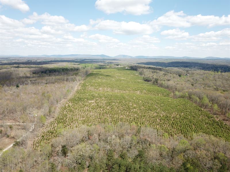 1019 Center : Crossville : Cumberland County : Tennessee