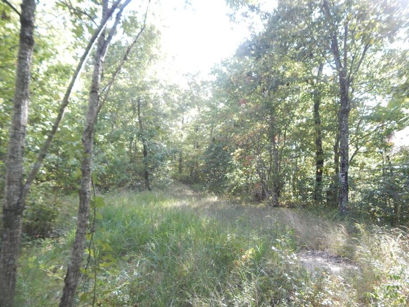 Van Buren County 10 Acres : Alread : Van Buren County : Arkansas
