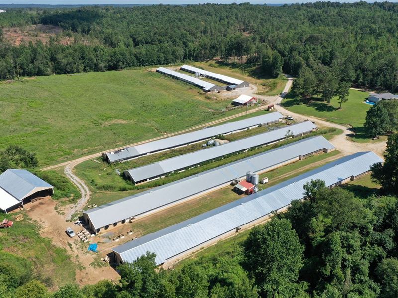 Over Easy Farm : Wadley : Randolph County : Alabama