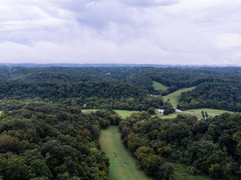 Stunning Middle TN Farmland : Santa Fe : Maury County : Tennessee