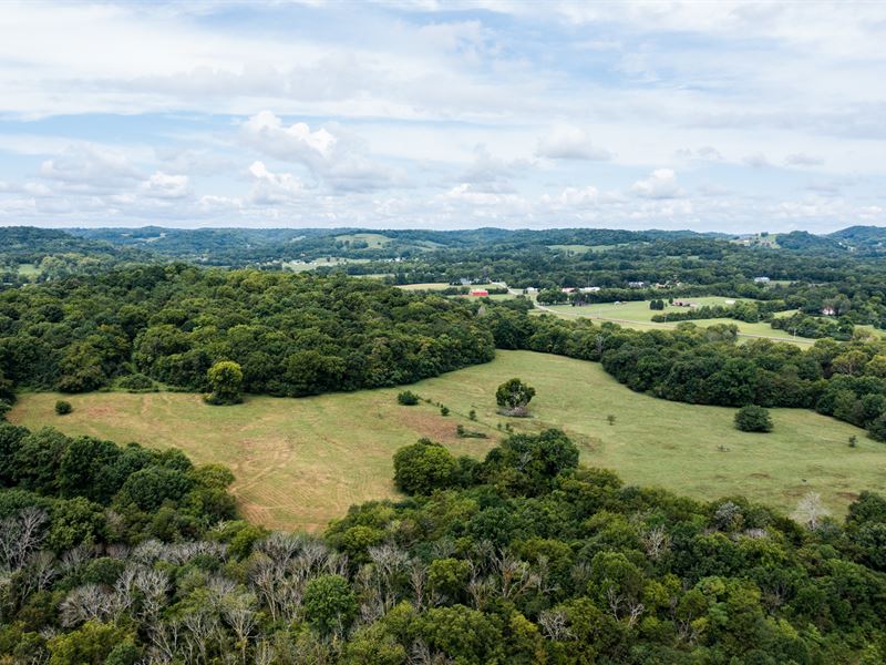 Fantastic 86 Acre Farm : Culleoka : Maury County : Tennessee