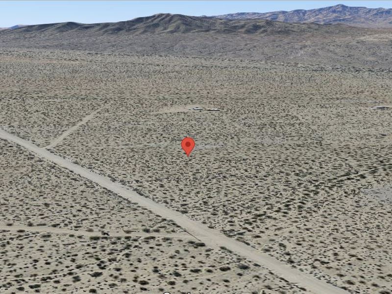So Much Land On Your Hands : Yucca : Mohave County : Arizona