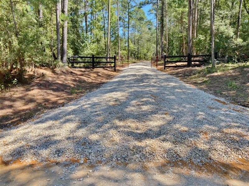 79.05 Wooded Acres : Magnolia : Pike County : Mississippi
