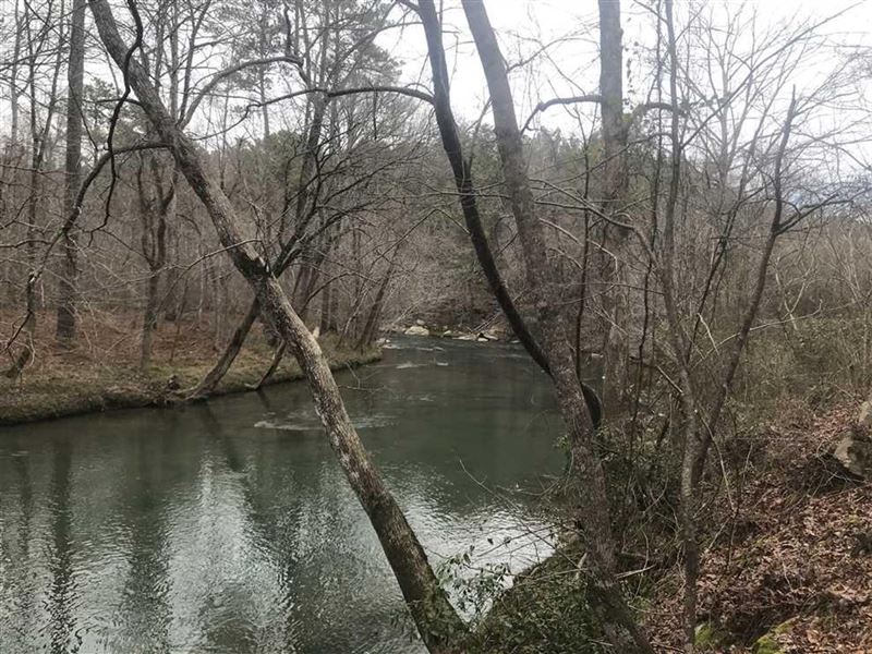 960 Acres Jefferson Co, AL : Graysville : Jefferson County : Alabama