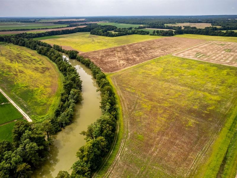 150 Row Crop Acres, Excellent : Dowdy : Independence County : Arkansas