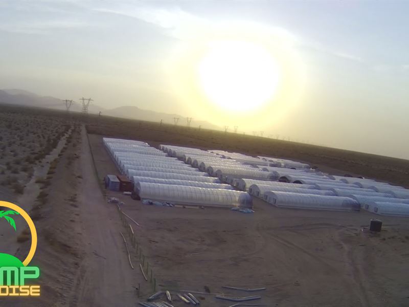 Hemp Farm & 60 Greenhouses : Riverside : Riverside County : California