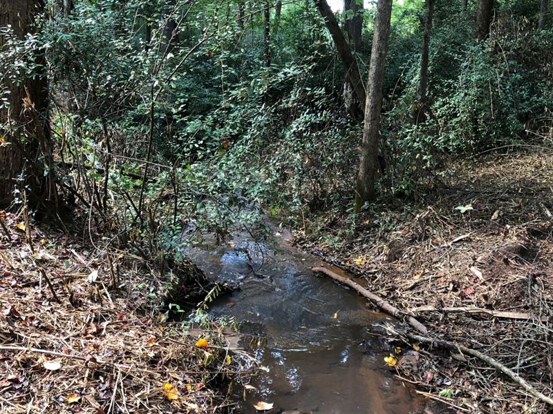Crest Hwy. 38.49 Ac : Thomaston : Upson County : Georgia