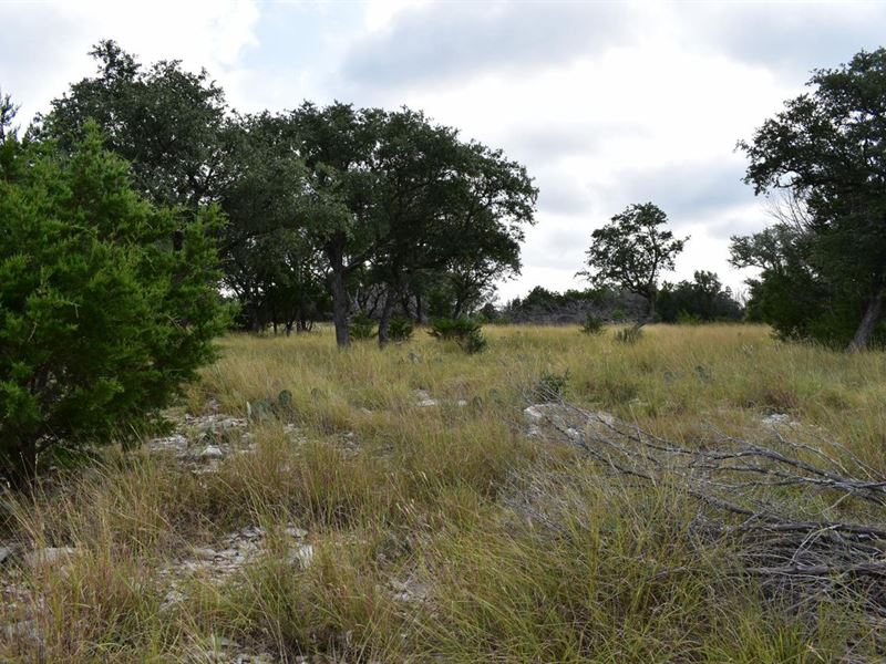 Hunting Land for Sale, Smith Ranch : Lampasas : Lampasas County : Texas