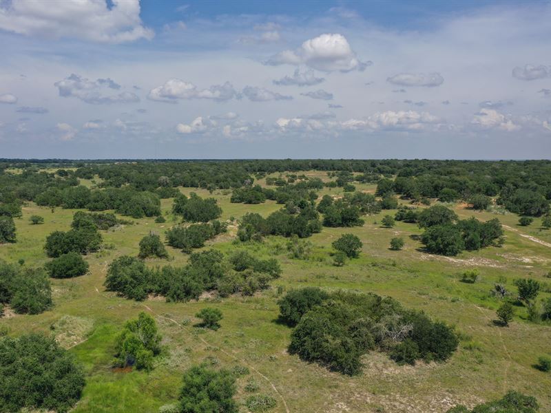 Highway 16 Ranch : Poteet : Atascosa County : Texas