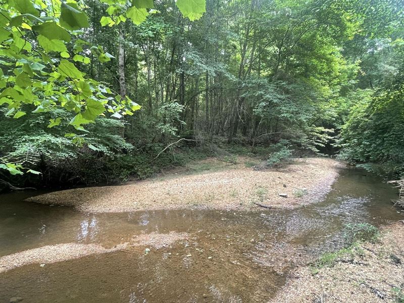 Great Opportunity for a Mini Farm : Hamilton : Marion County : Alabama