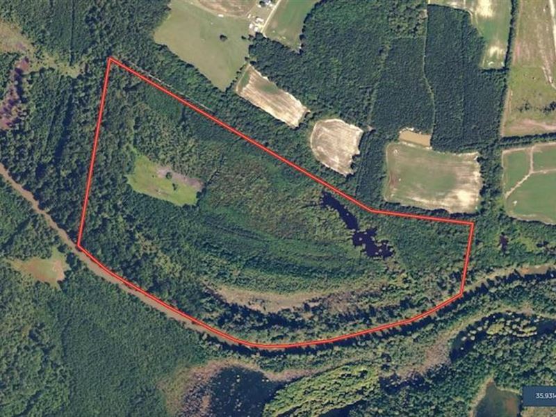 115 Acres of Rive : Spring Hope : Nash County : North Carolina