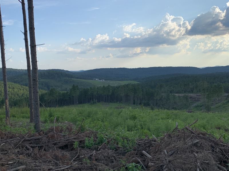 277 Ac Sand Mine : Pidmont : Etowah County : Alabama